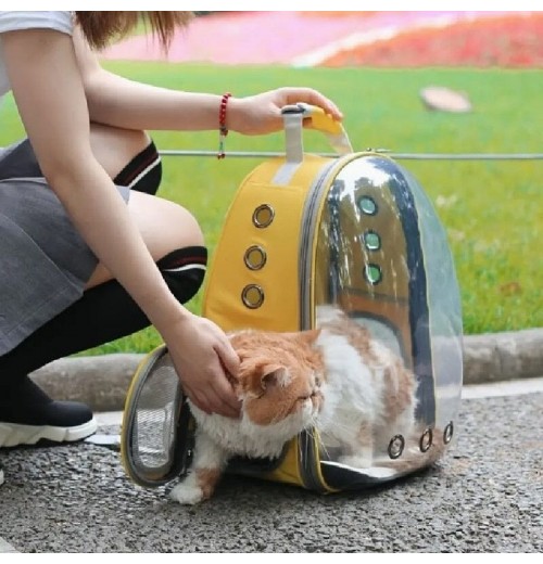 Cat Clear Backpack