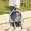 Clear Cat Carrying Backpack