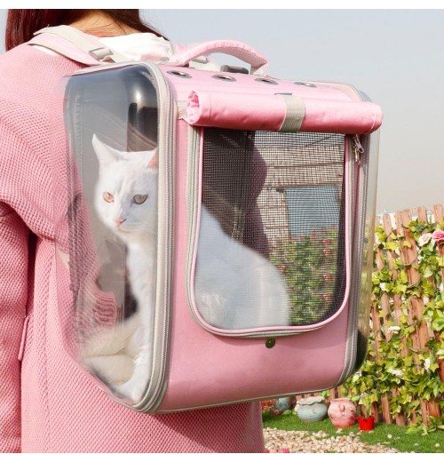 Transparent Cat Carrier